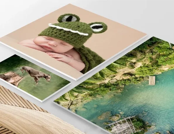 Captura de pantalla 2026-01-10 225153.webp